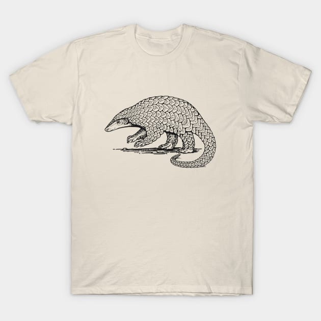 Pangolin T-Shirt by Dima Kruk